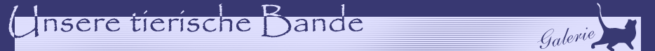 Unsere tierische Bande - Galerie