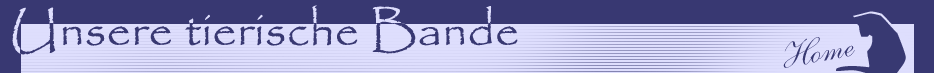 Unsere tierische Bande