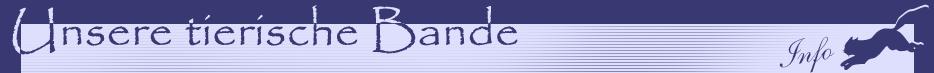 Unsere tierische Bande - Galerie