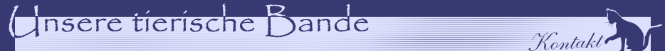 Unsere tierische Bande - Kontakt