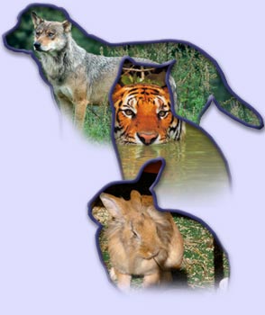 Unsere tierische Bande - Home