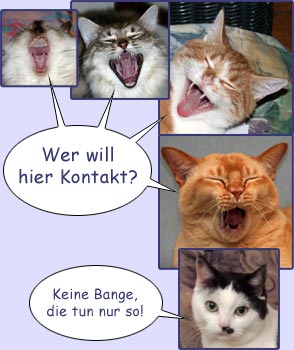 Unsere tierische Bande - Kontakt