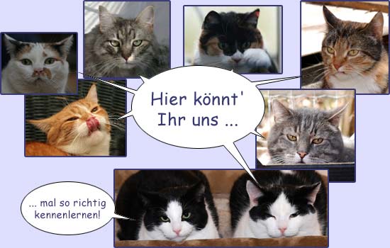 Unsere tierische Bande - &Uuml;ber uns